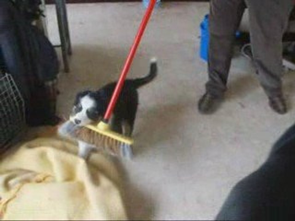 Nity, 2 mois, partie 1