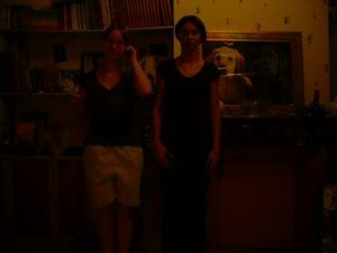 Parodie de single ladies =)