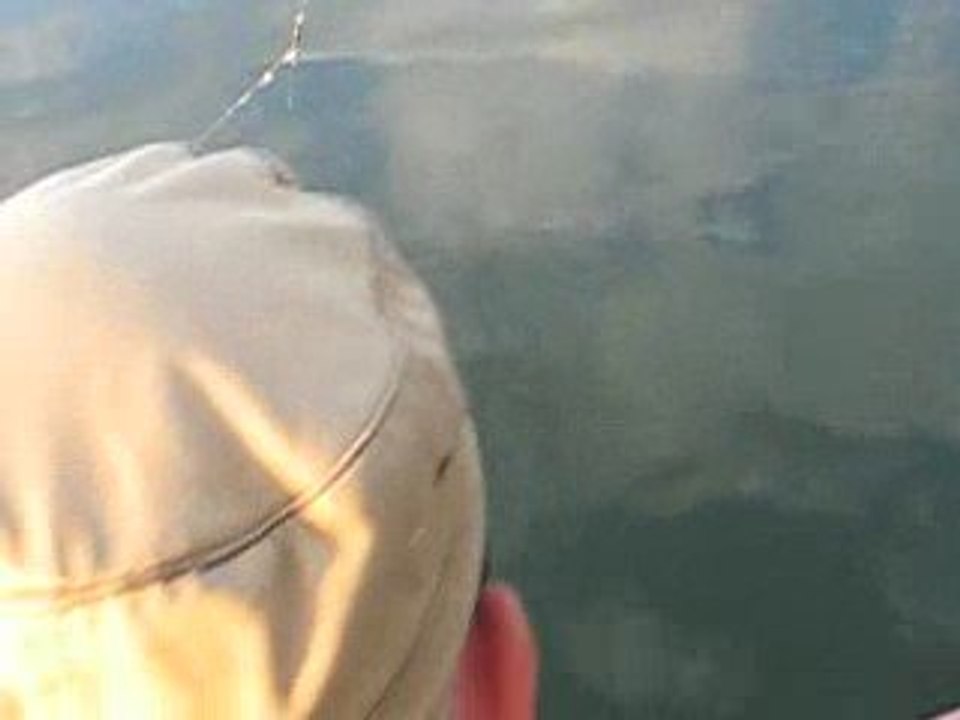 FAKO & DOGAN SUDAK AVIMIZ 07.8.2009 018