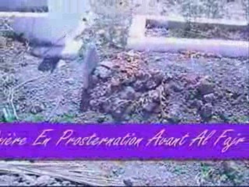 L'Eminent Savant Sheykh Mohammed Al Amin Akalay