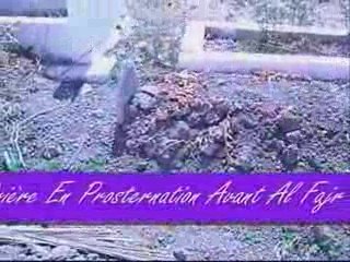 L'Eminent Savant Sheykh Mohammed Al Amin Akalay