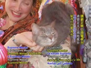 In Purr-fect Harmony: Nora the Piano Cat