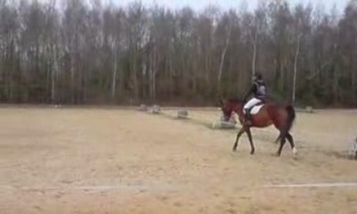 Olijnyck maria dressage cce