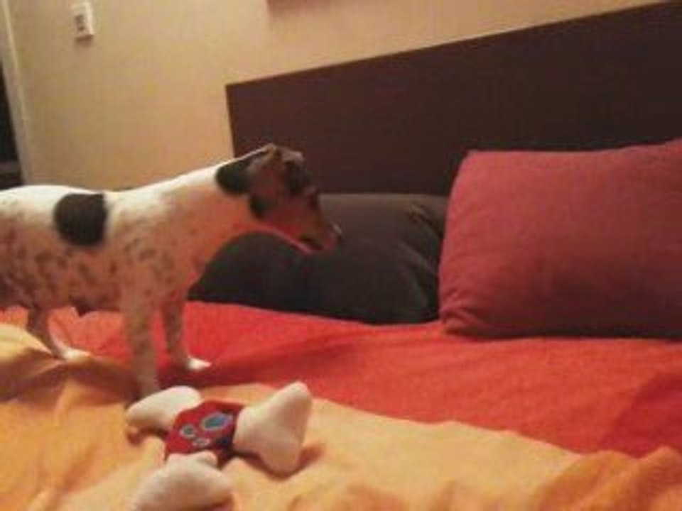 Lola et Daïa... coup de folie du soir ^_^