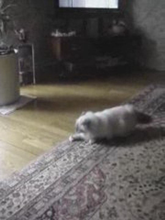 YOTA APPRECIE LA FRAICHEUR 011.mpg