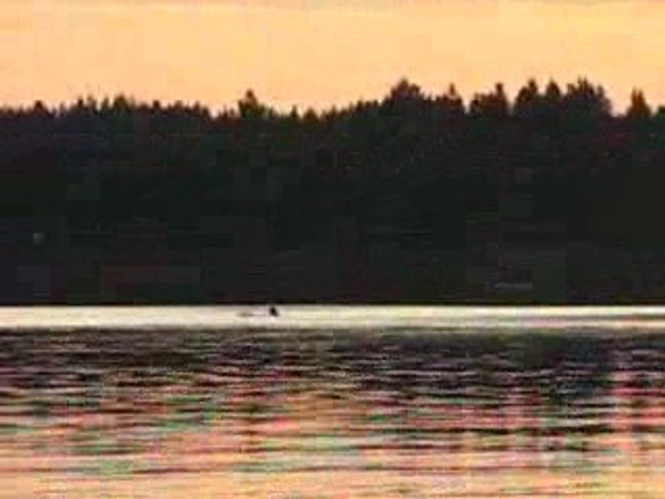 FAKO & DOGAN SUDAK AVIMIZ 07.8.2009 019