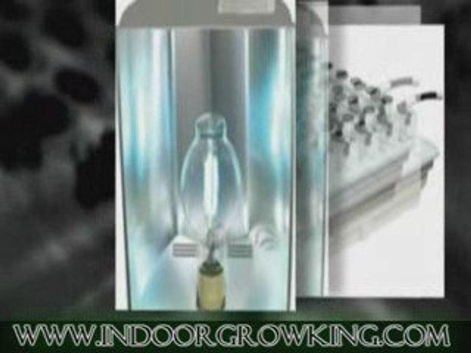 Looking For Hydroponic Cabinets? Visit IndoorGrowKing.com!