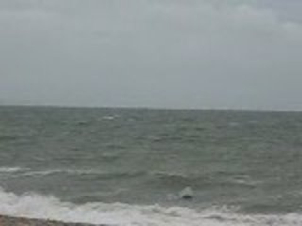 PLAGE  DU  HAVRE  .......