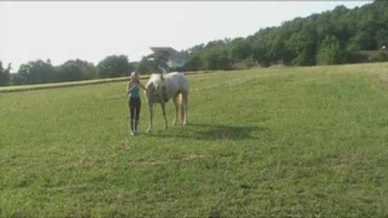 Romy dans la jachère 2