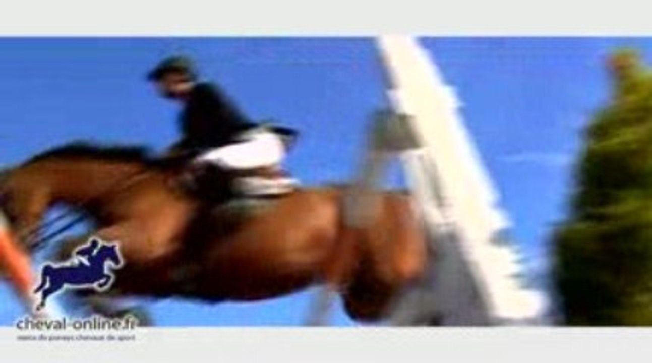 accueil cheval online