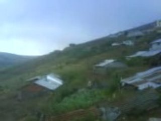 Yaylada akşam üstü, sığır gelirken