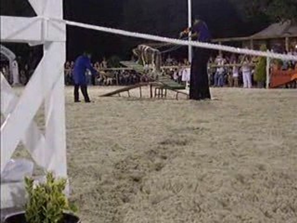 Spectacle cheval juillet 2009