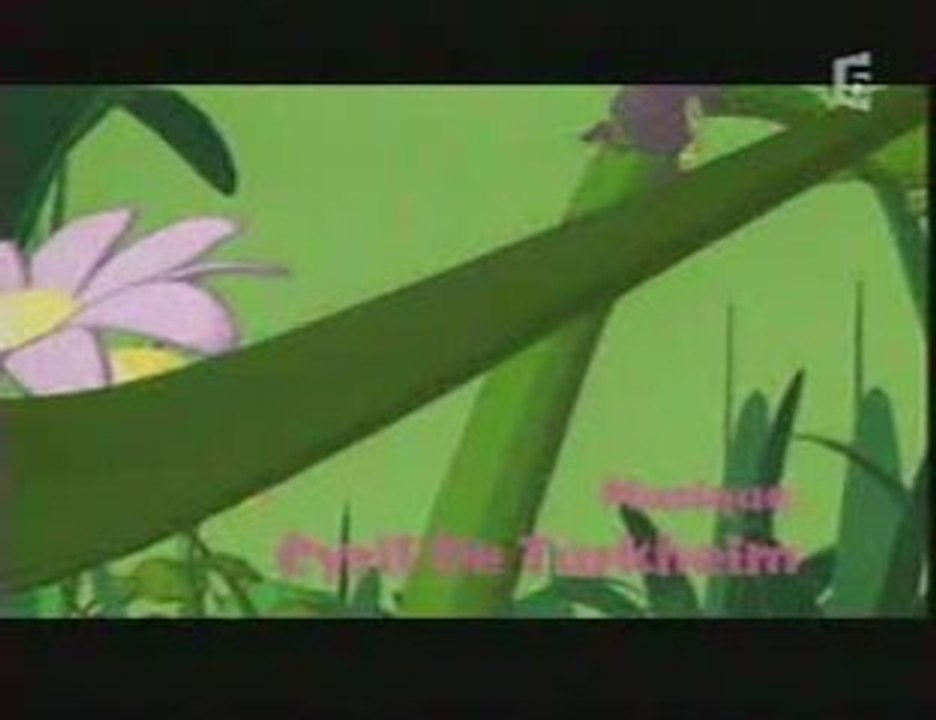 LES DROLES DE PETITES BETES