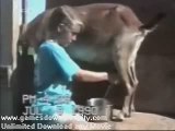 Crazy Videos Fun with Animals