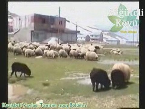 Kazıkbeli Yaylası Tanıtım Videosu-2003 Bölüm-2