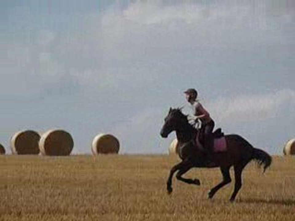Galop dans les champs <3