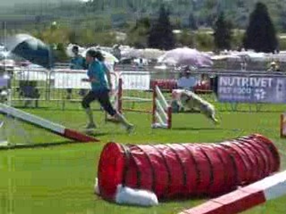 agilitymanche1Tailee