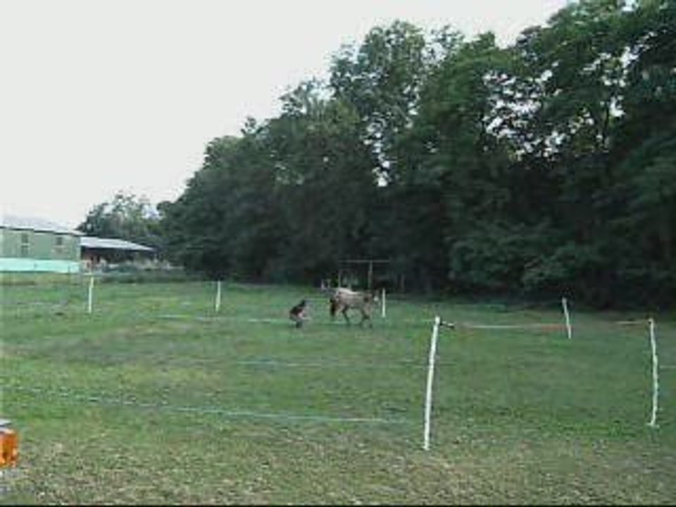 ULY AU "TRAVAIL" - 07 AOUT 2009