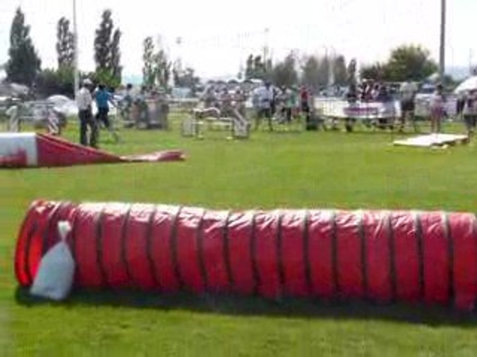 Jumpingmanche1Tailee