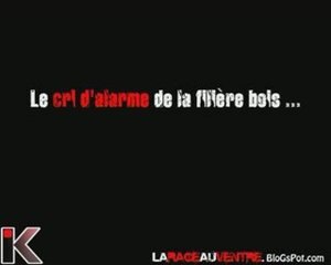 Le cri d'alarme de la filière Bois ...