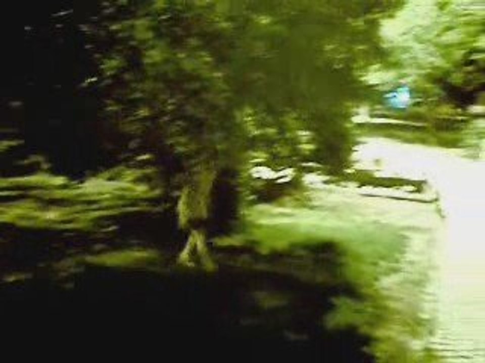 Bilebilir miyiz gülüm?