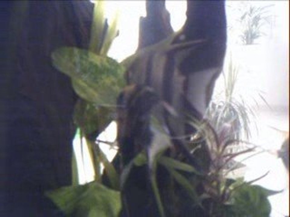 PICT0024
