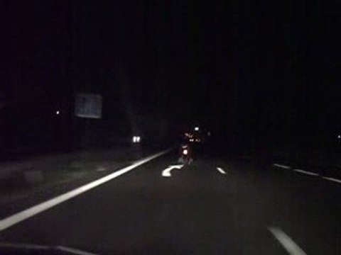 aprilia rs 1998 mhr team 150kmh n°2