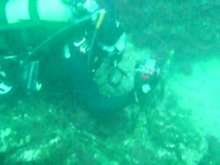 Obtendo fotos  (P.Jordão) Filmado por mário Graça