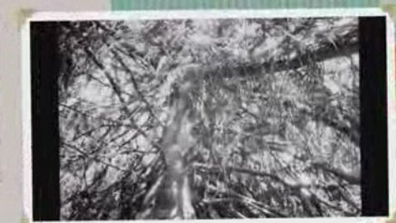 PHOTOS BIO
