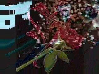 Gülden Karaböcek Benim Yarim