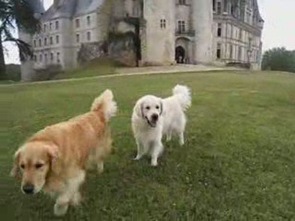 Chateau Rochefoucauld