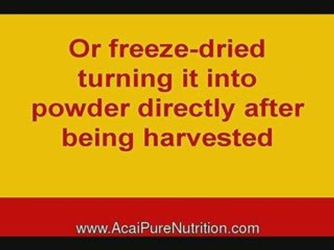 acai berry dr, acai berry vitamins, acai vitamin