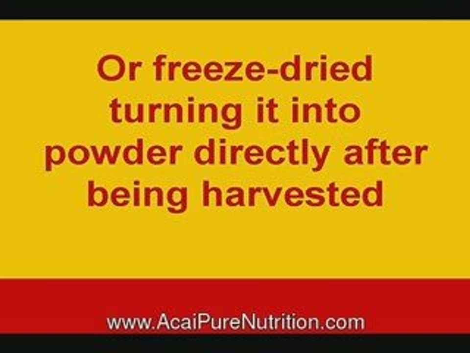 acai berry dr, acai berry vitamins, acai vitamin