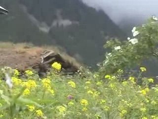 MARSİS - BAKİŞLARUNDAN BELLİ-kavrun.tr.gg