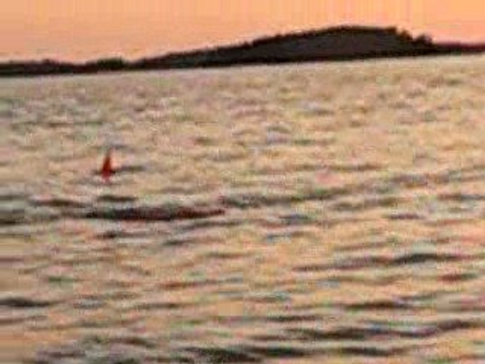 FAKO & DOGAN SUDAK AVIMIZ 08.8.2009 007