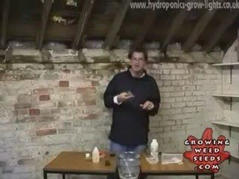 Tips and tricks for growing hydroponic marijuana plants - 2