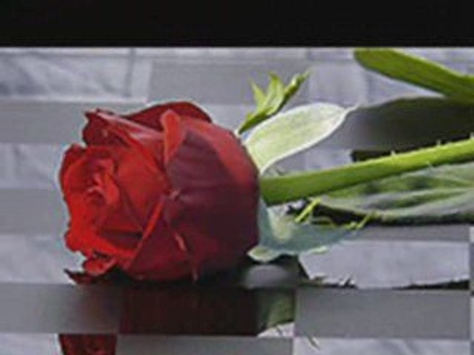 Une mélodie d'amour en rouge et noir