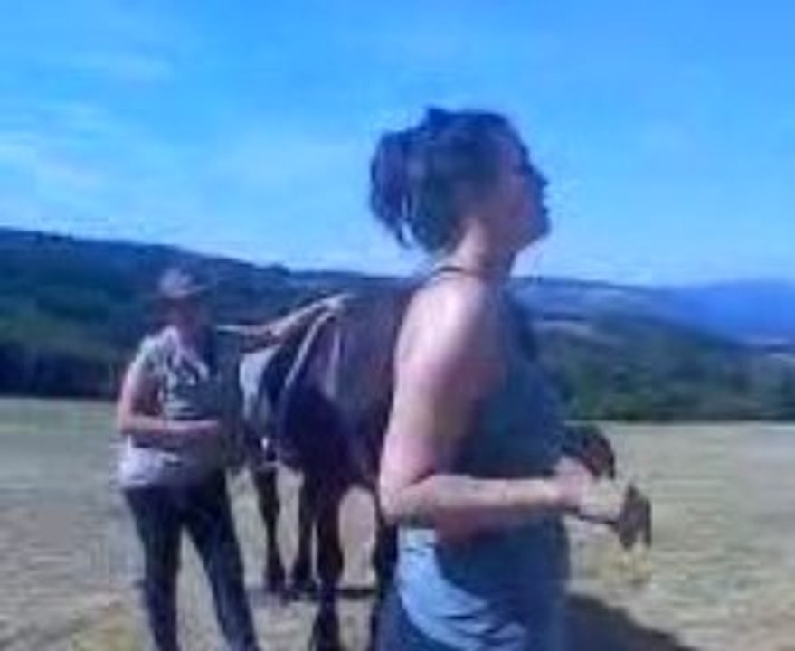 Video2