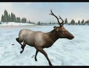 Hunting Unlimited 2010 Test Moggy Aspi Show