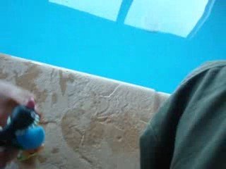 Pokémon Donjon Mystere Episode 1 Partie 3 SAISON 1