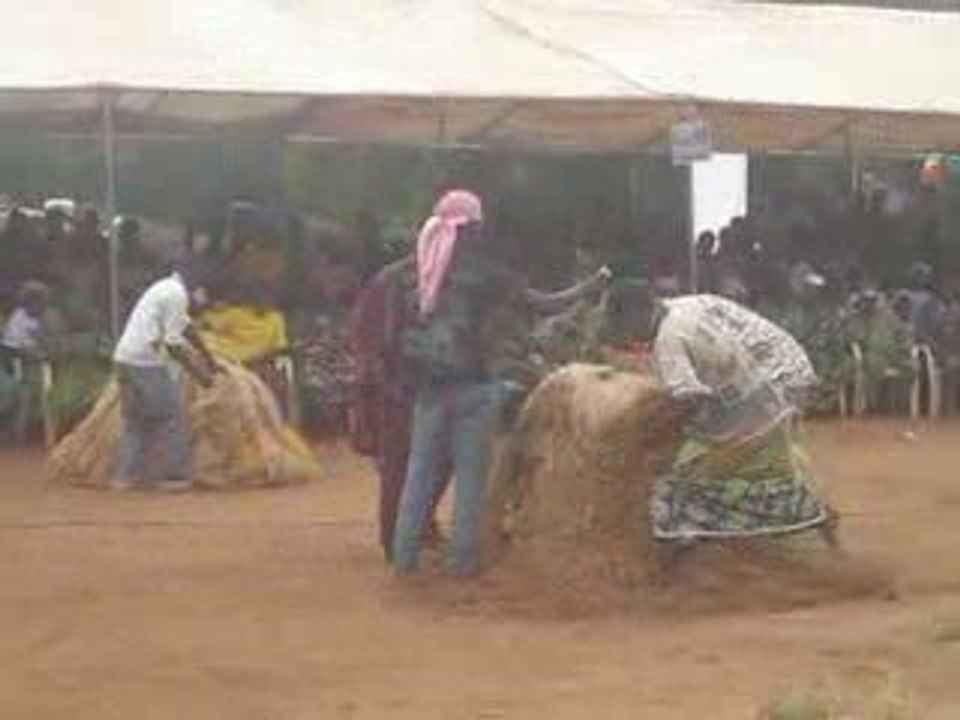 Vodou 1 (1er aout: fete de l'independance du Benin)