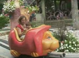 PARC D'ATTRACTIONS NIGLOLAND : HERISSONS DE LA FORET MAGIQUE