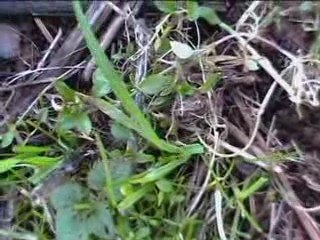 La Borde - Pas des Escales