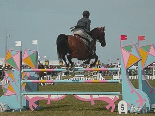 Jumping montage photo