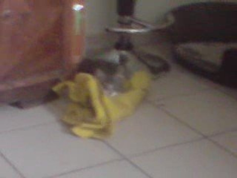Lim