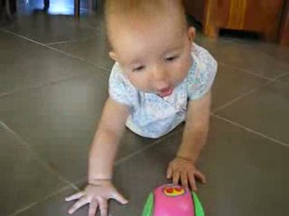 romane à quatre pattes