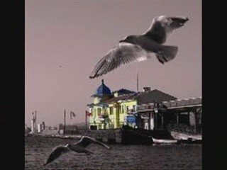 DENİZİN ARDI ÖZGÜRLÜK-AHMET KAYA-