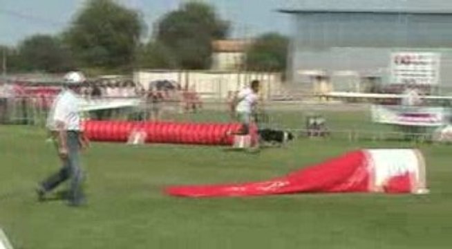 Trophée agility par equipe Montelimar 2009