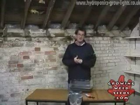 Tips and tricks for growing hydroponic marijuana plants - 3