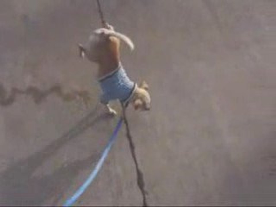 Crazy Dog Taking a Pee